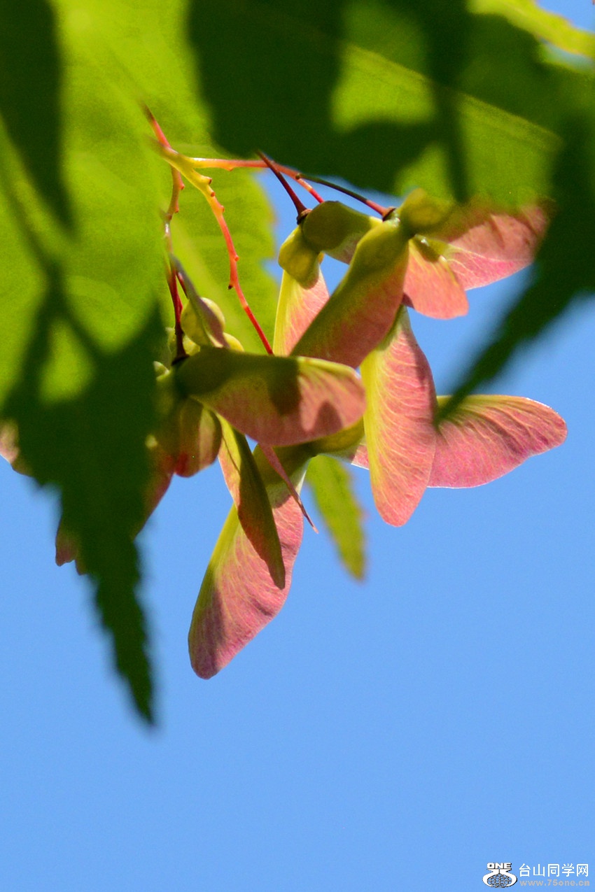 DSC_6436_43.jpg