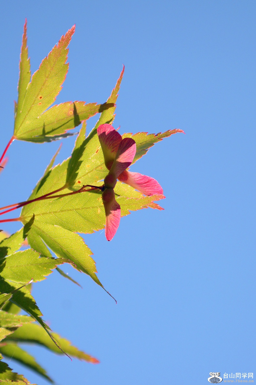DSC_6468_32.jpg