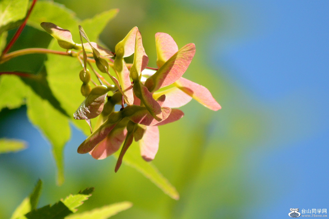 DSC_6394_55.jpg