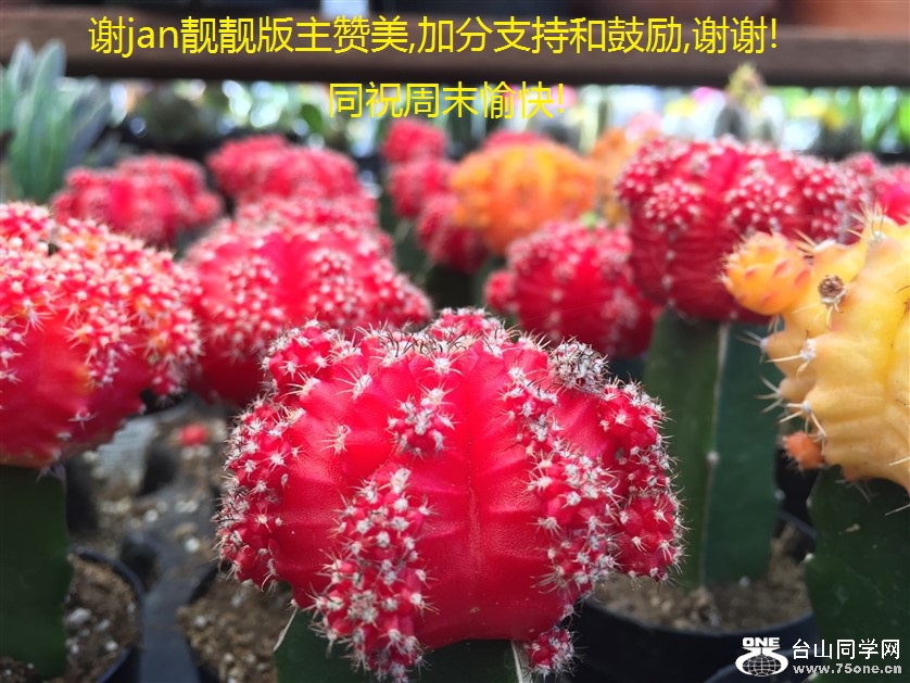 лjan,ӷֺ֧͹,лл!ͬףĩ!.jpg