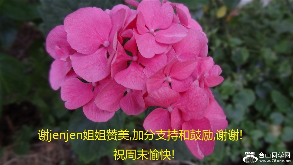 лjenjen,ӷֺ֧͹,лл!ףĩ!.jpg