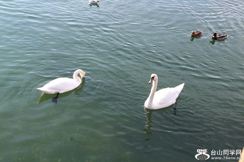 IMG_8228_.jpg