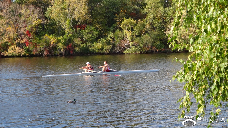 DSC01937_.jpg