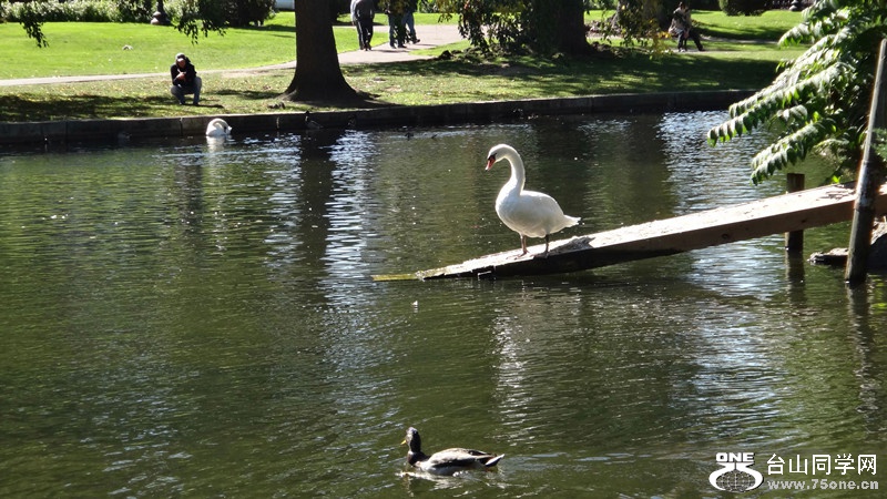 DSC02038_.jpg