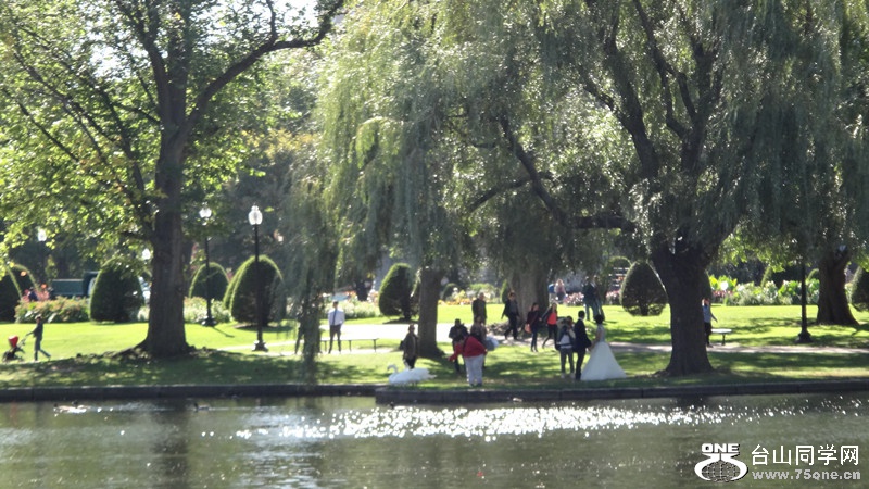 DSC02032_.jpg
