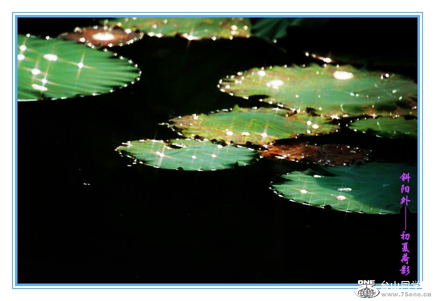DPP_201.4.8-00240_.jpg