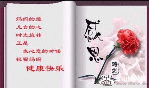 255_37288_ea9fb675187768a-copy.jpg
