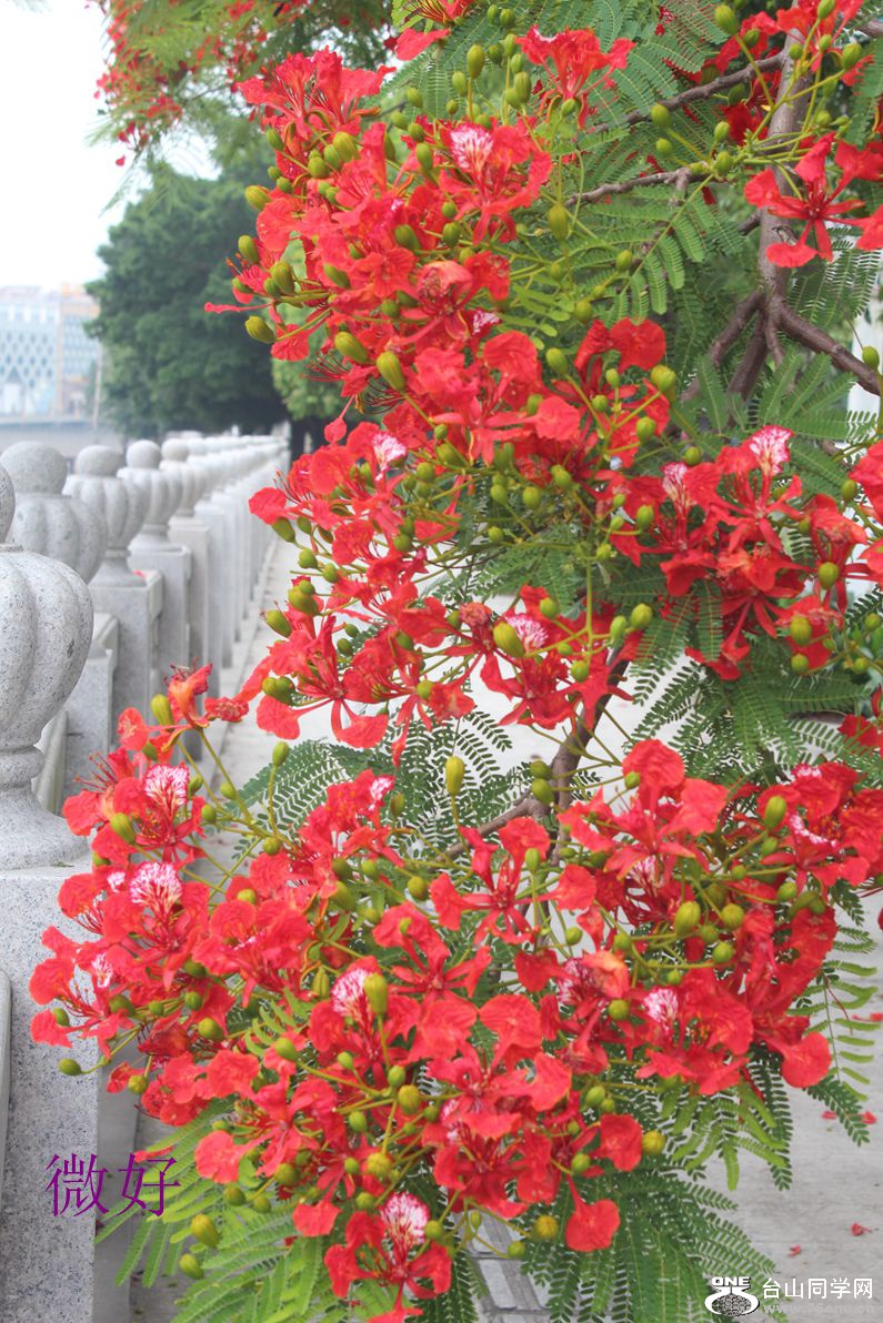 IMG_8543_.jpg