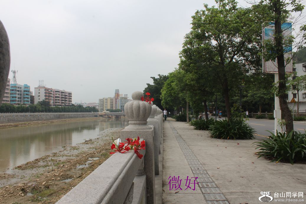 IMG_8566_.jpg