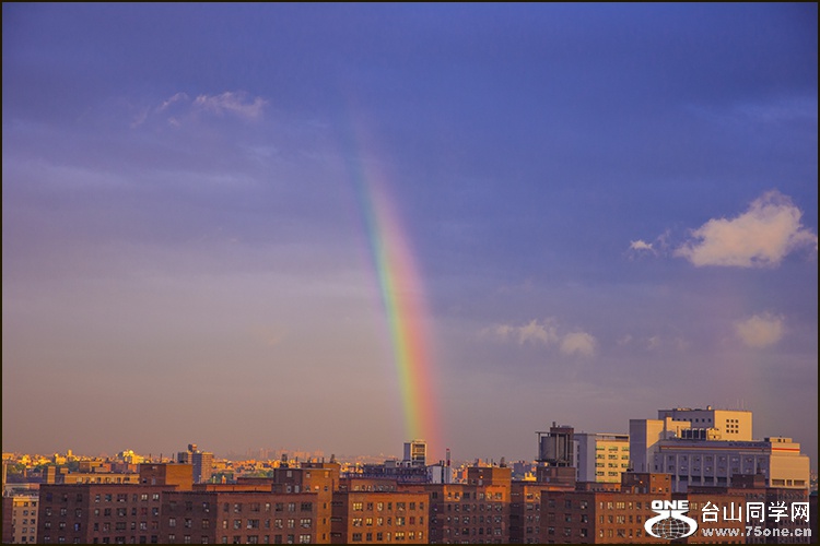 DSC_7432.jpg