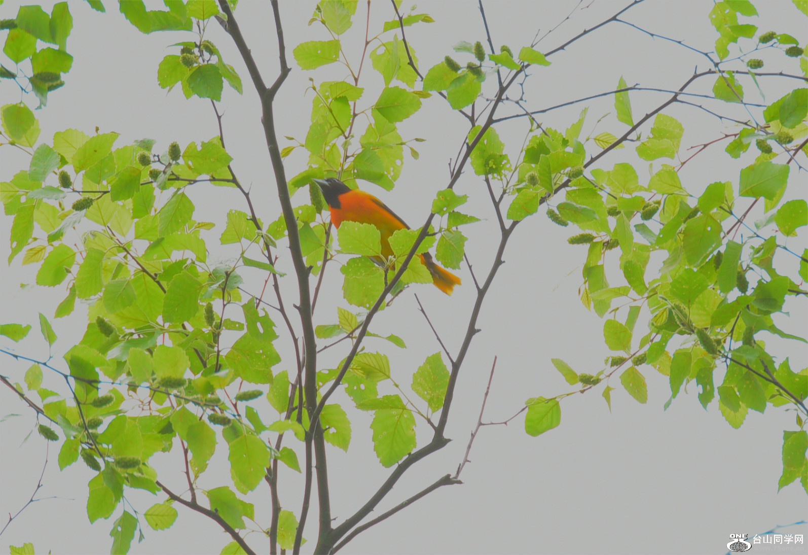 DSC_5570_meitu_15.jpg