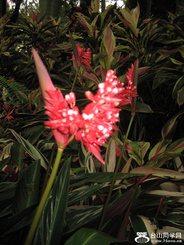 2016 007_.jpg