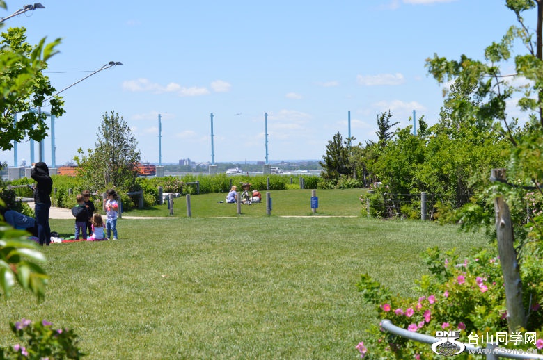 DSC_0175.jpg