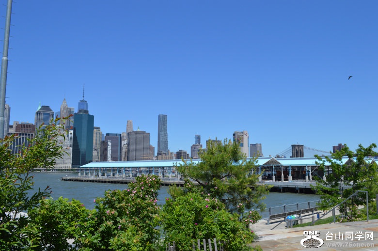 DSC_0076.jpg