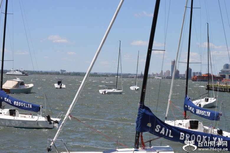 DSC_0162.jpg