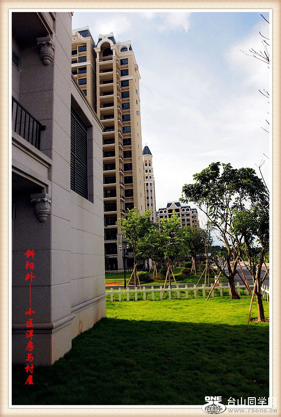 DPP_201.4.8-40254_.jpg