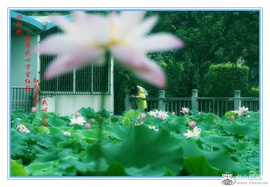 DPP_201.4.8-30209_.jpg