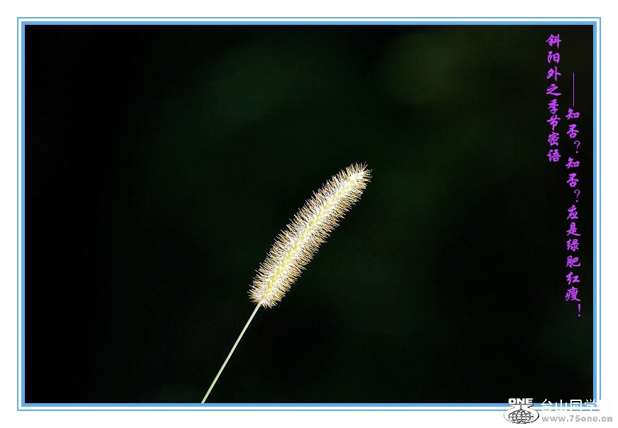 DPP_201.4.8-40118_.jpg