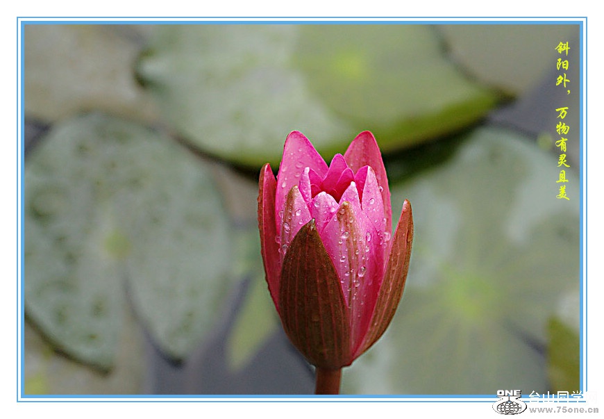 DPP_201.4.8-00263__.jpg