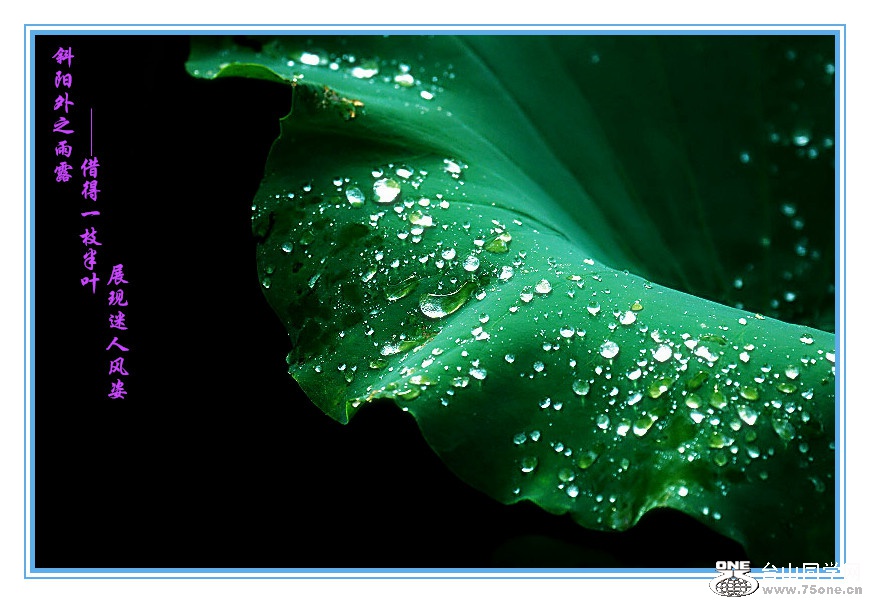 DPP_201.4.8-40107_.jpg