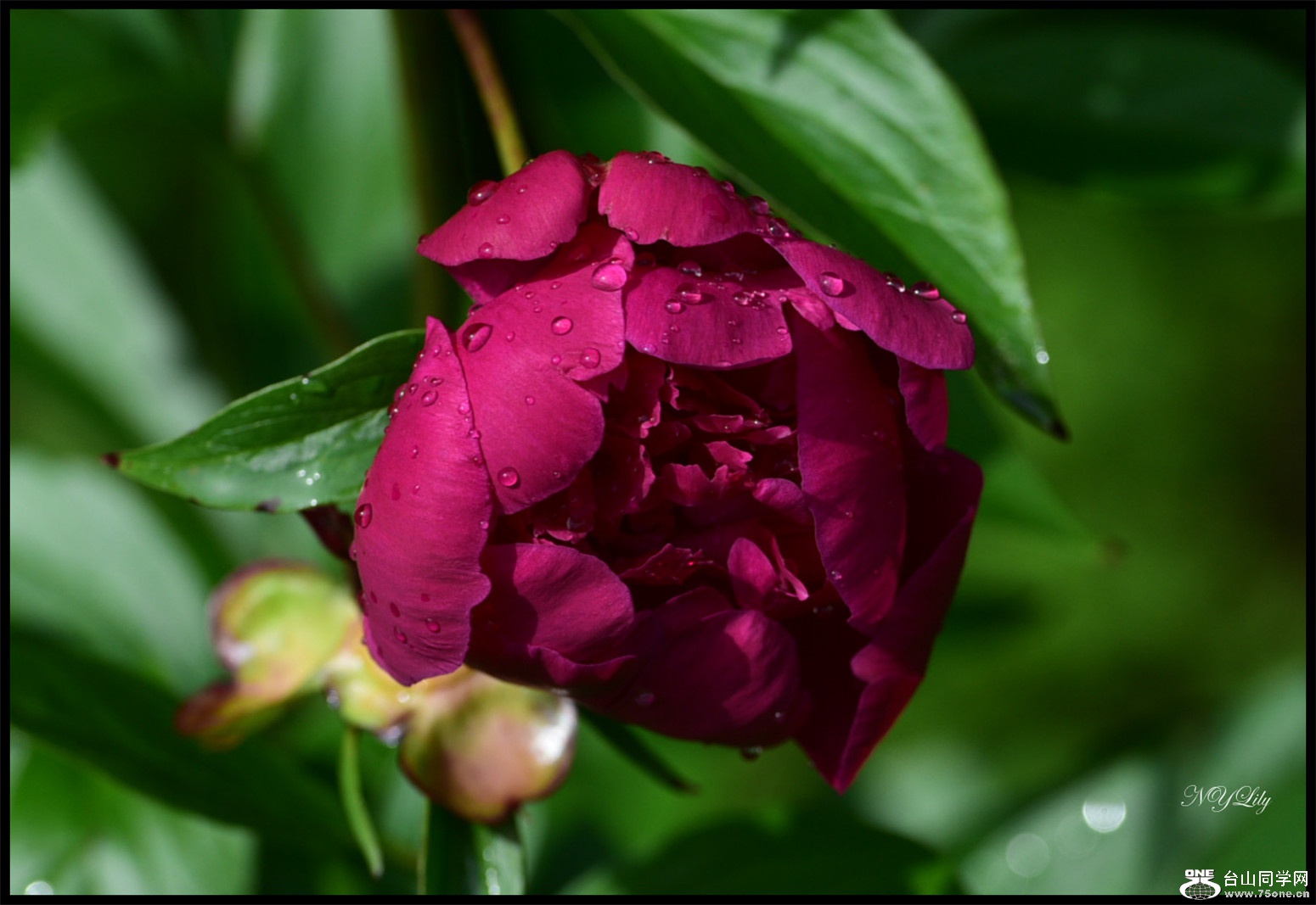 DSC_5848.jpg