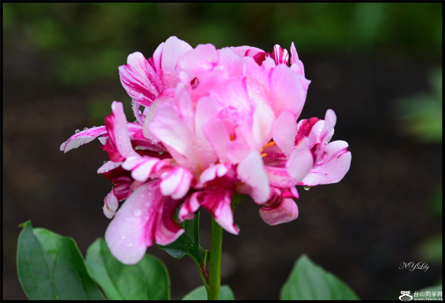 DSC_5876.jpg