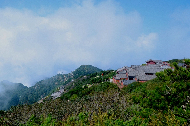 DSC_3175.jpg
