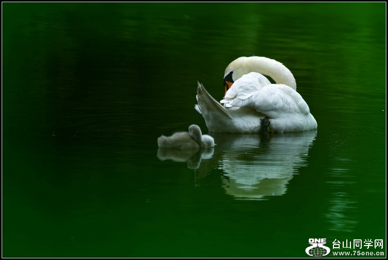 DSC_2474.JPG