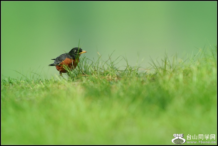 DSC_1591.JPG