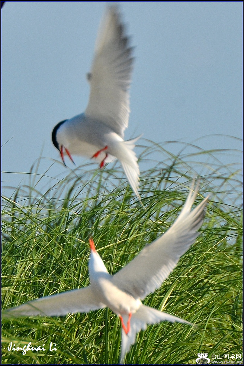 DSC_8101_.jpg
