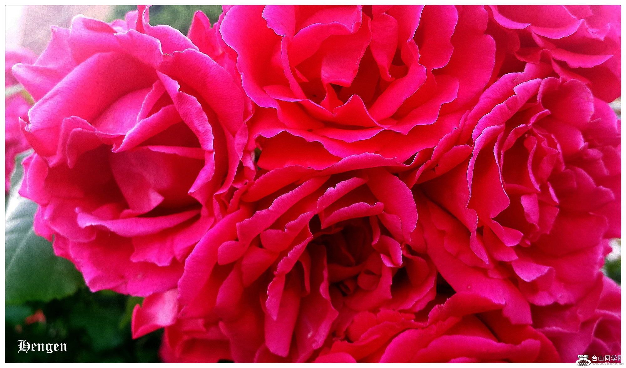 20160607_063959.jpg