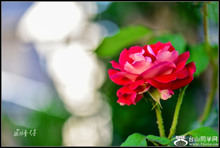 DSC_9078.jpg