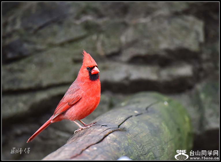 DSC_3111.jpg