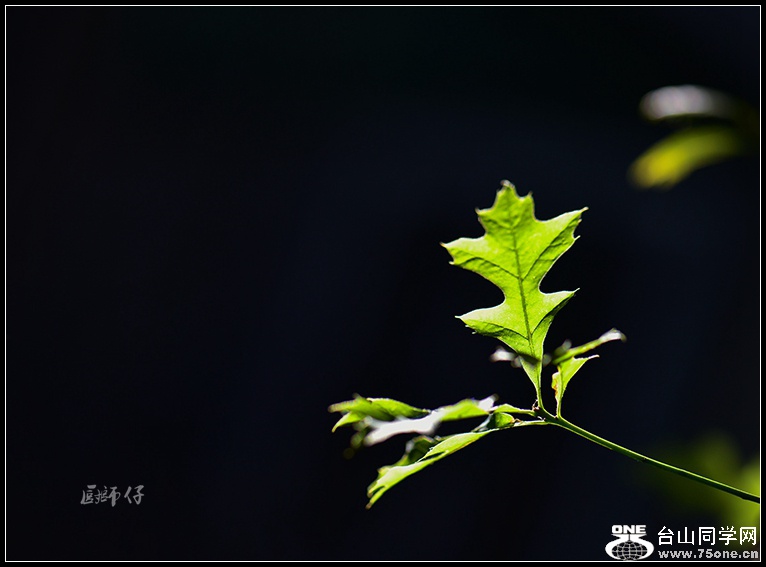 DSC_9063.jpg