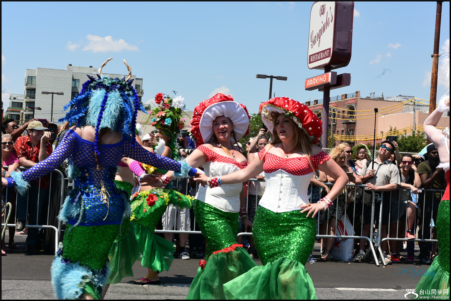 DSC_6447.jpg