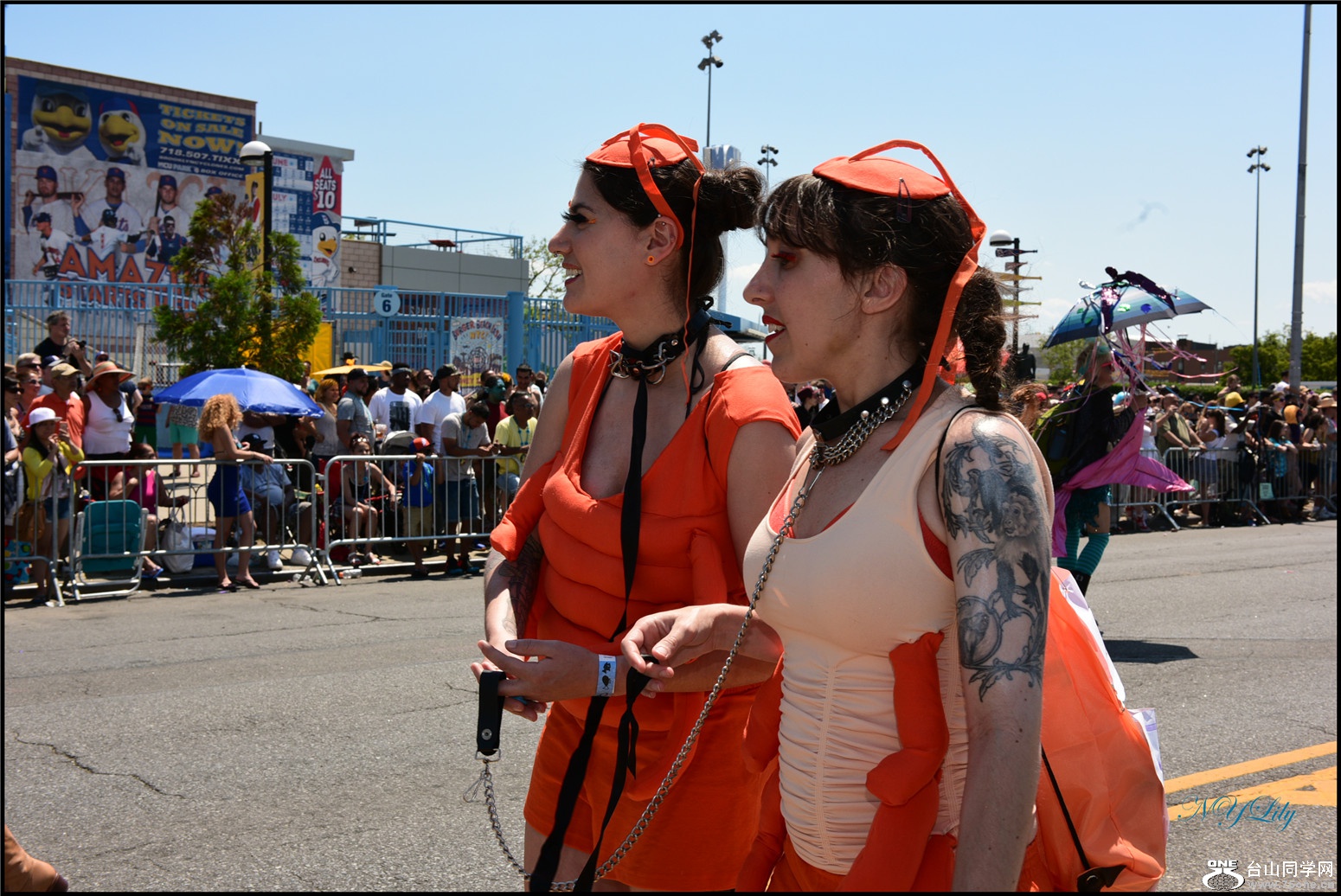 DSC_6384.jpg