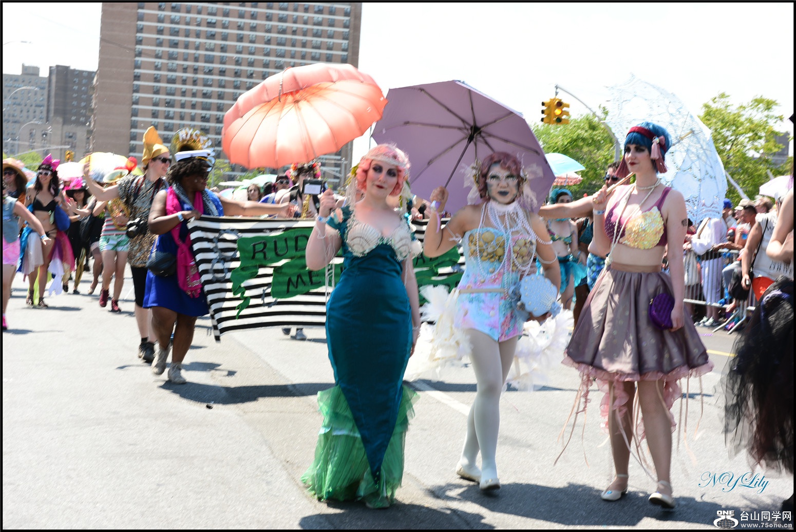 DSC_6487.jpg