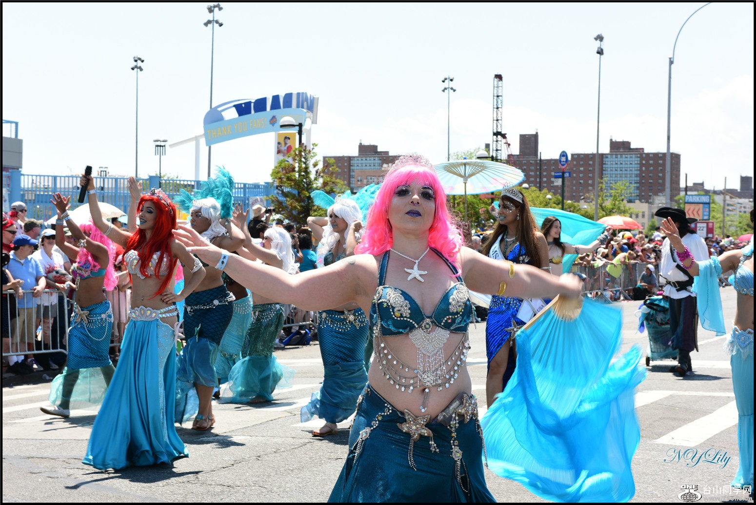 DSC_6393.jpg