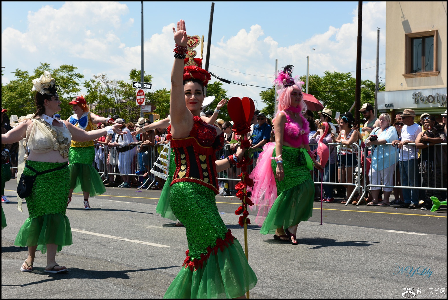 DSC_6431.jpg