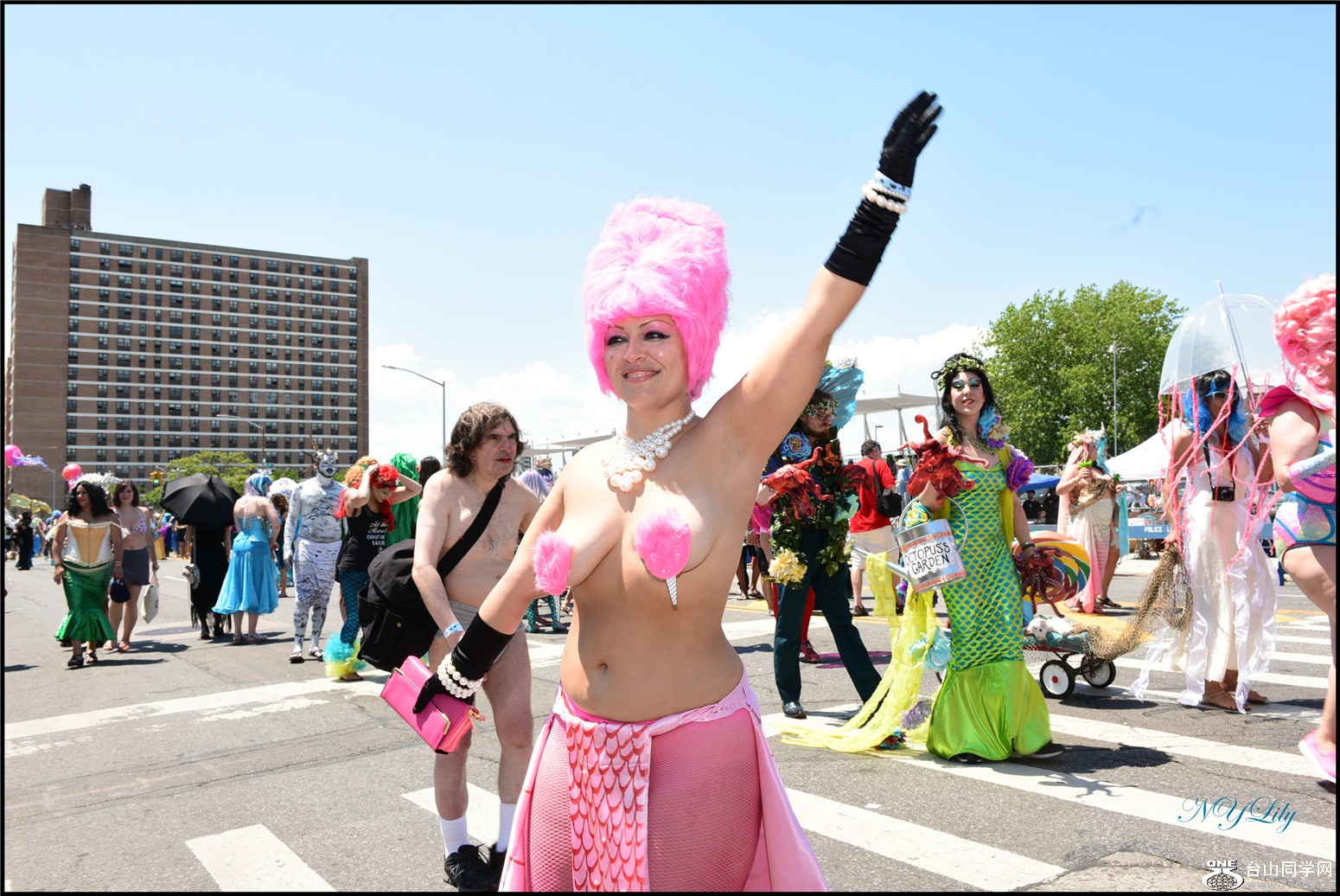 DSC_6349.jpg