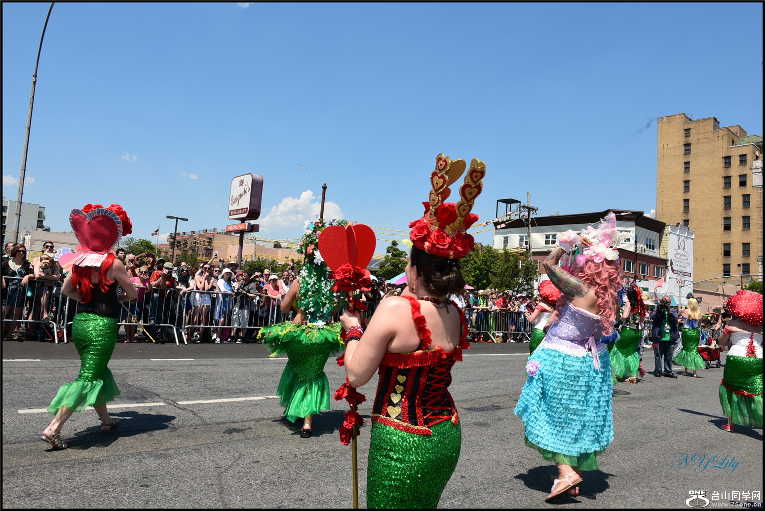 DSC_6437.jpg