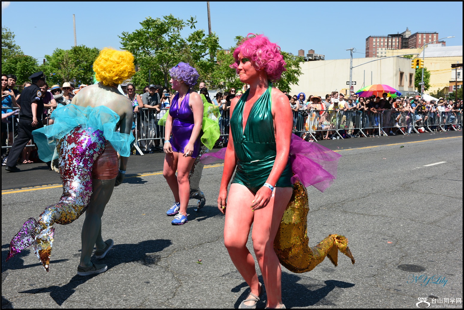 DSC_6641.jpg