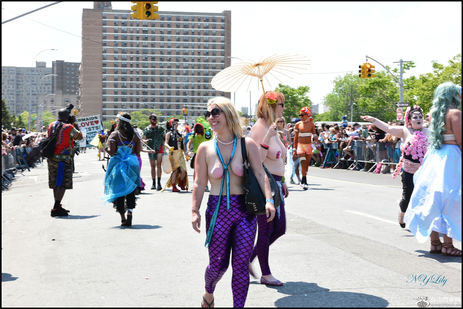 DSC_6509.jpg