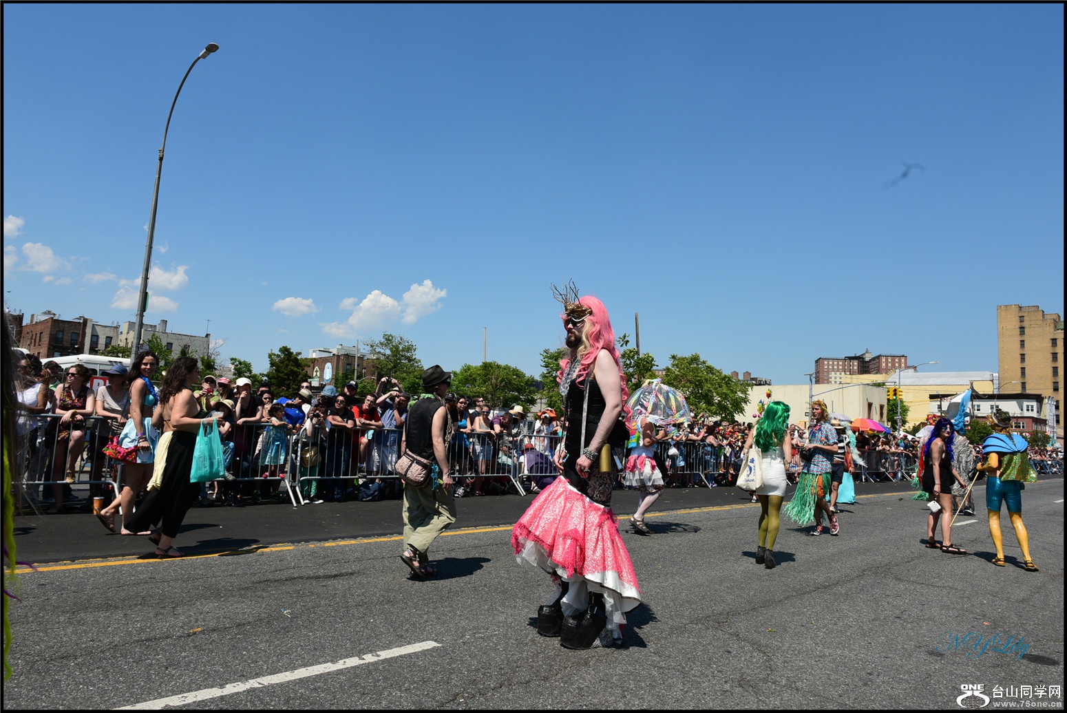 DSC_6651.jpg