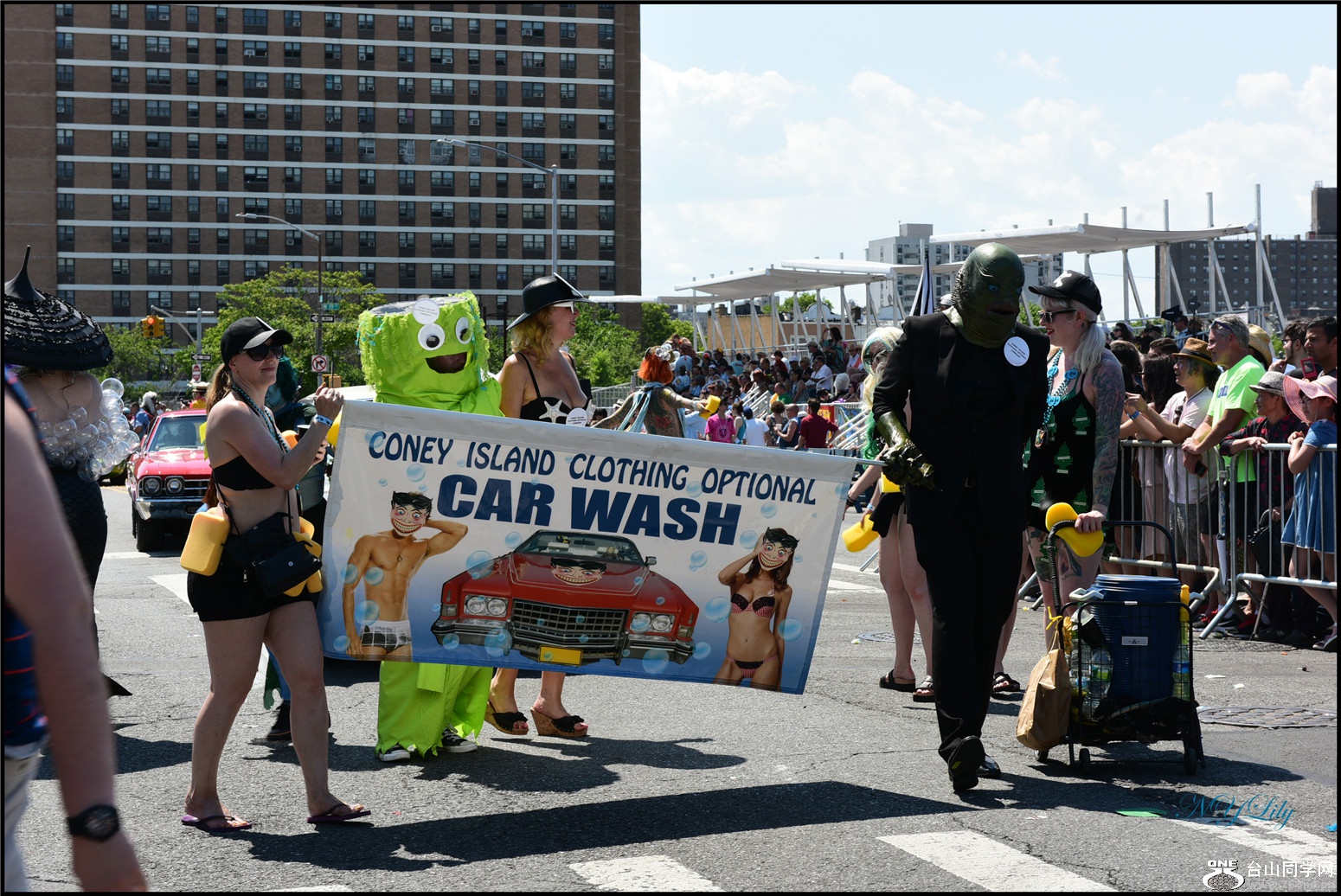 DSC_6678.jpg