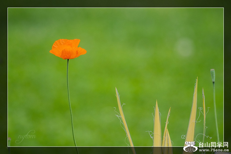 DSC_0351_.jpg