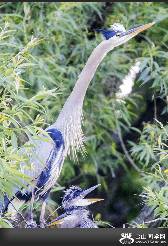 DSC_7811_.jpg