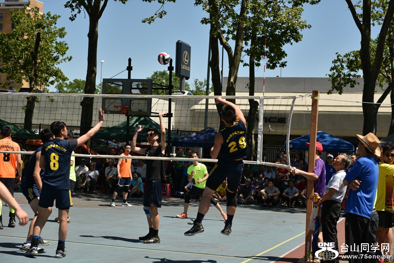 DSC_4307.JPG