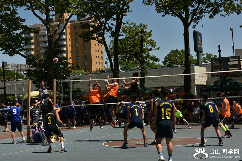 DSC_4270.JPG