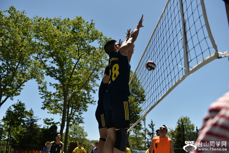 DSC_4412.JPG